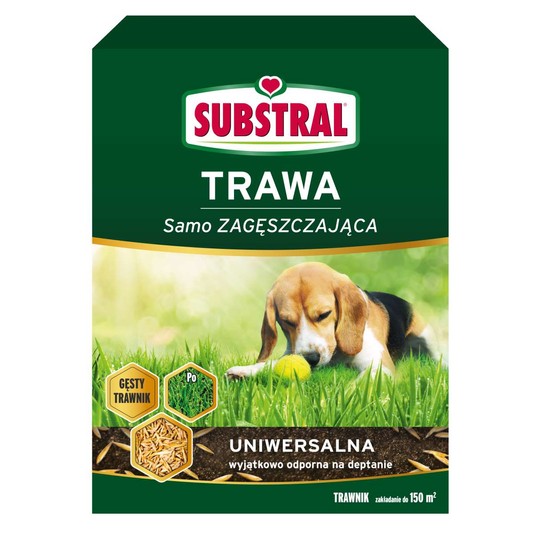 Substral Trawa uniwersalna 3kg karton partia:3405593-1 data prod:2024/12/02 -zdjęcie numer 1
