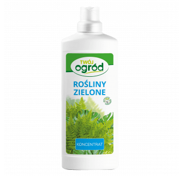 Agrosimex Nawóz do roślin zielonych 1kg płynny Partia: 170925 data prod.17-09-2025 data waż.2030-09-17