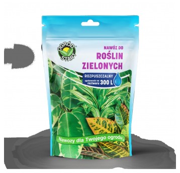 Ampol Merol Nawóz do roślin zielonych saszetka 250g