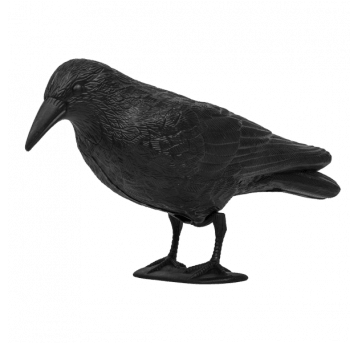 Bradas Odstraszacz ptaków kruk 12/41/24cm