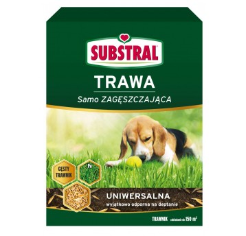 Substral Trawa uniwersalna 3kg karton partia:3405593-1 data prod:2024/12/02