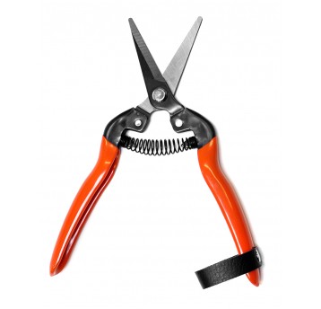 Welkut Małe nożyce sks do pielęgnacji kwiatów i krzewów